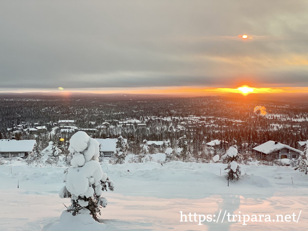 白銀の世界広がるフィンランドの森で出会う美しすぎるトナカイ Trip Paradise
